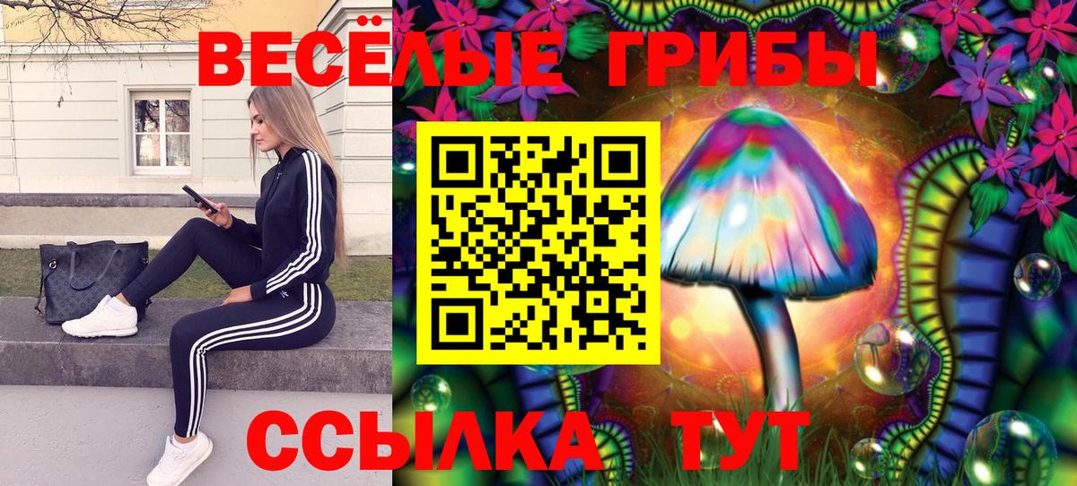 Дзержинск  Галлюциногенные грибы Psilocybine cubensis  Вход с VPN 